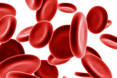 blood cells